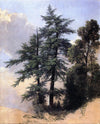 Étude de la nature des arbres de Newburgh, New York, 1849 - Asher Brown Durand