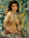 Torse d'une femme au soleil - Pierre-Auguste Renoir