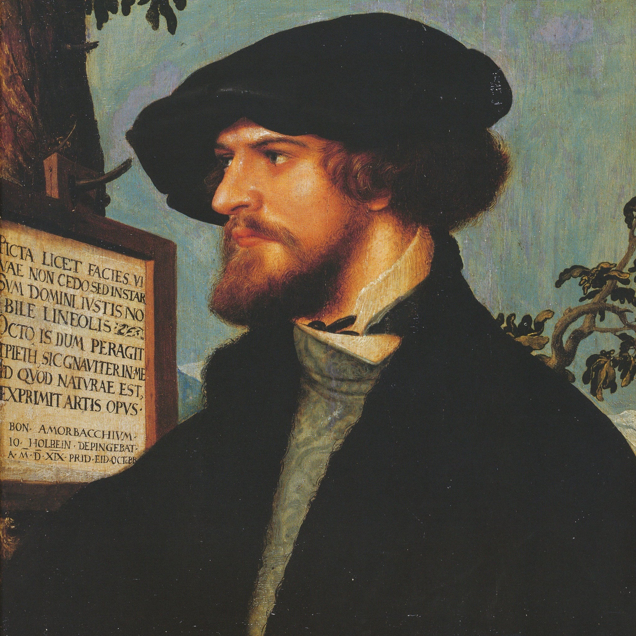 Portrait de Bonifacius Amerbach - Hans Holbein le Jeune