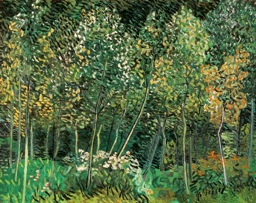 Petite forêt - Van Gogh