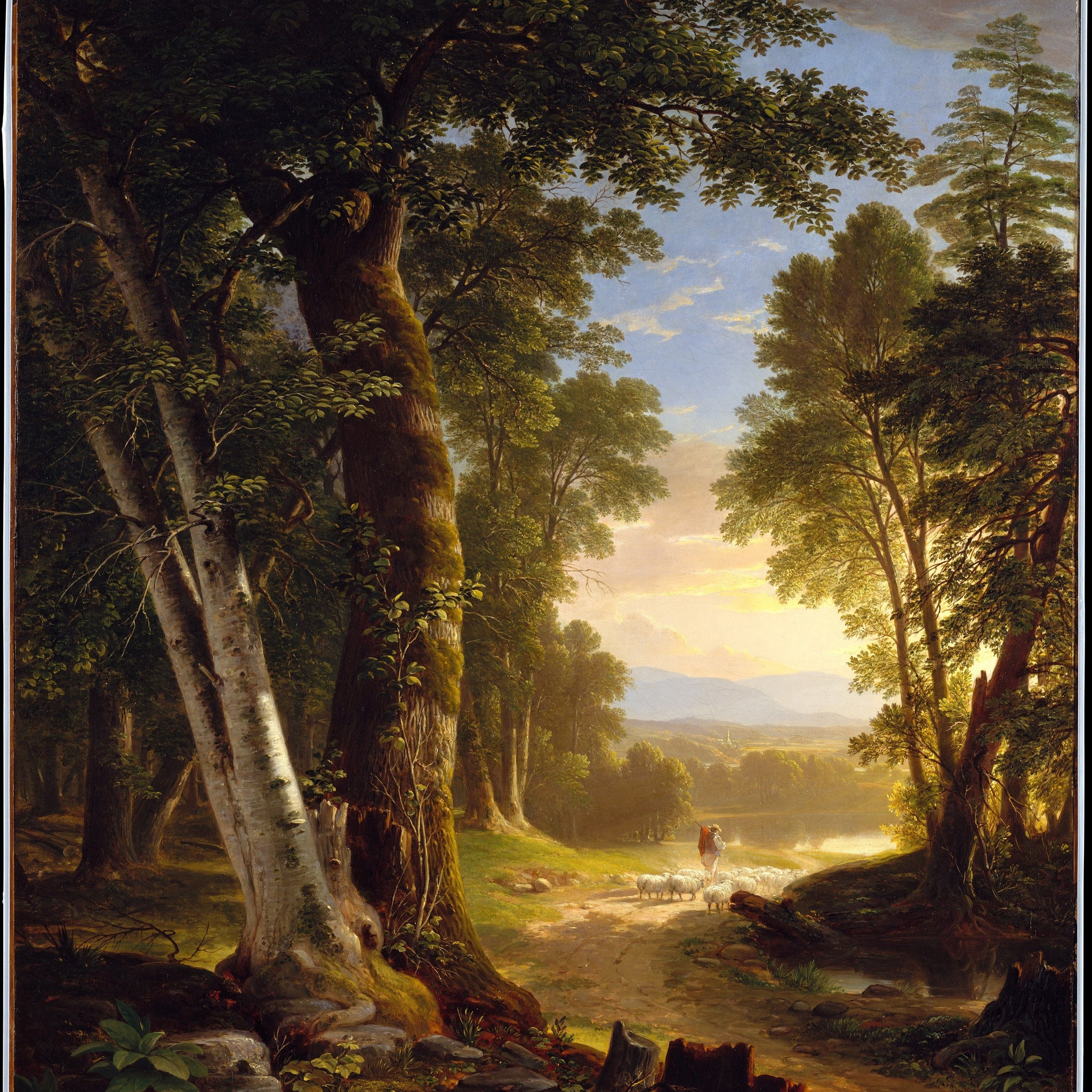 Les hêtres, 1845 - Asher Brown Durand