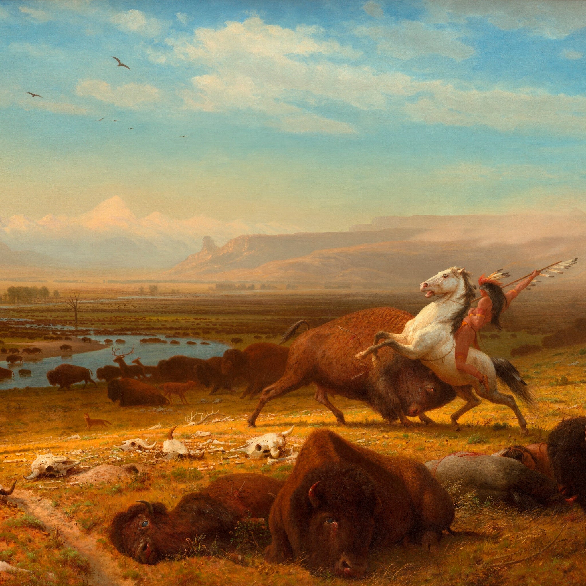 Le dernier des bisons - Albert Bierstadt
