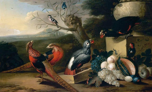 Cadre de parc avec des oiseaux - Tobias Stranover