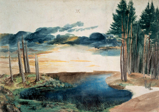 Un étang dans la forêt - Albrecht Dürer