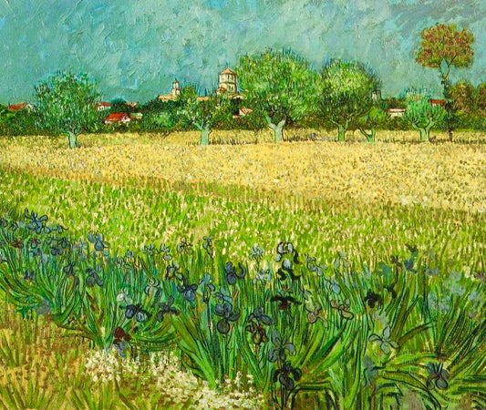 Vue d'Arles avec iris - Van Gogh