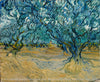 Le Champ d'oliviers - Van Gogh