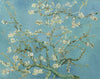 Amandier en fleurs - Van Gogh