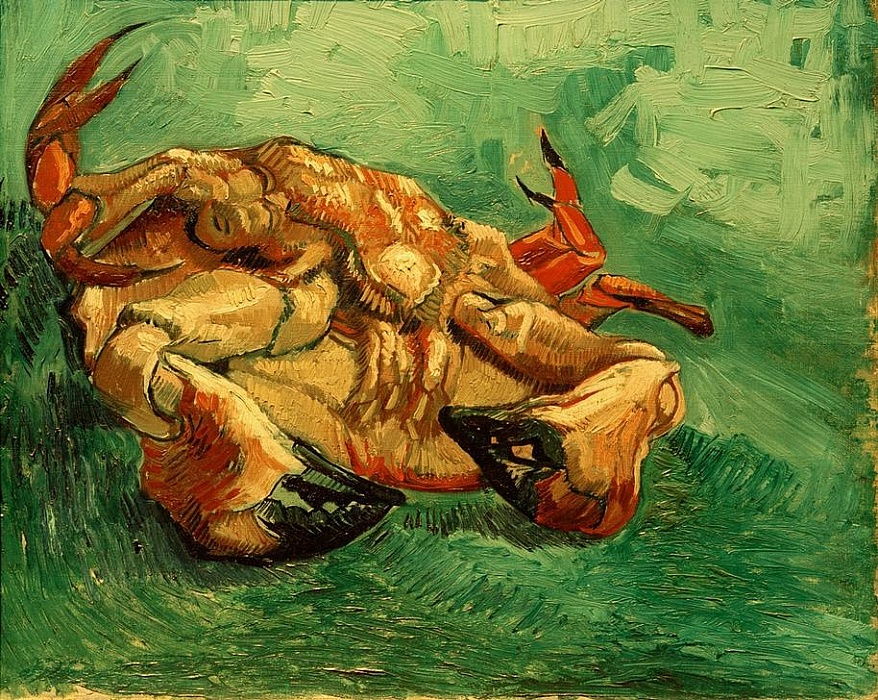Cancer allongé sur le dos - Van Gogh