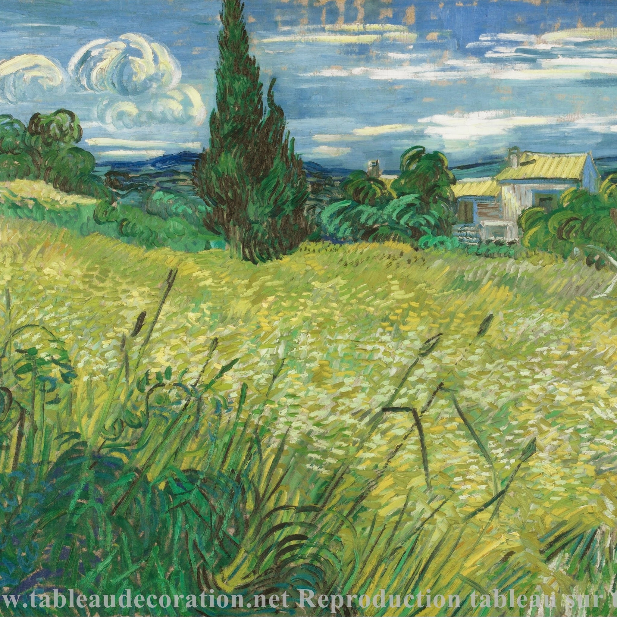 Le Champ de blé vert avec cyprès - Vincent van Gogh