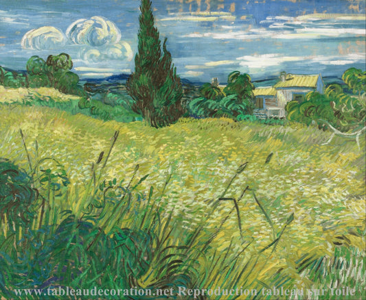 Le Champ de blé vert avec cyprès - Van Gogh