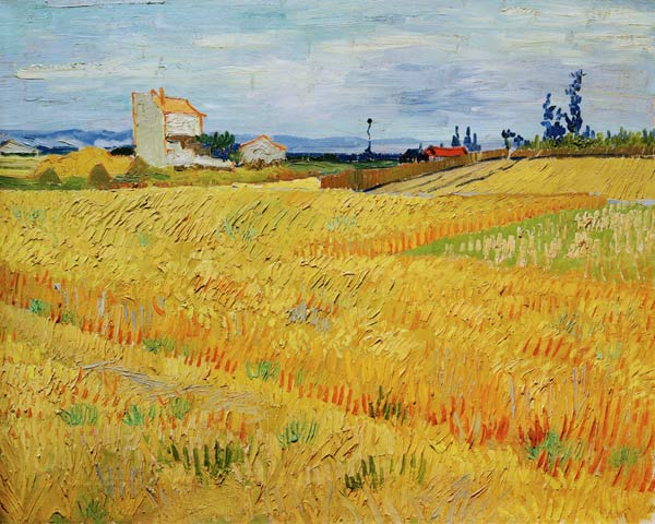 Champ de blé - Van Gogh