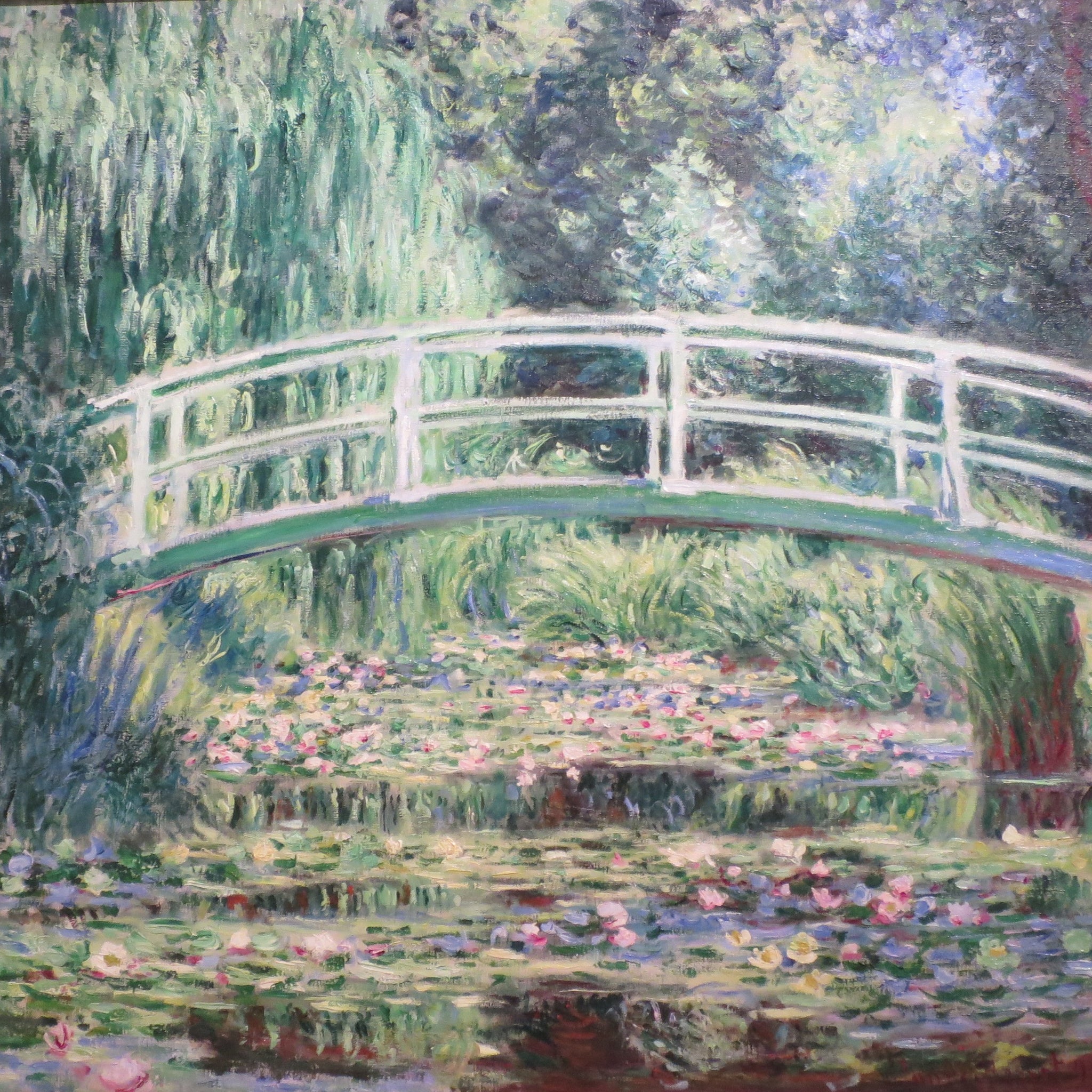 Nympheas blancs - Claude Monet