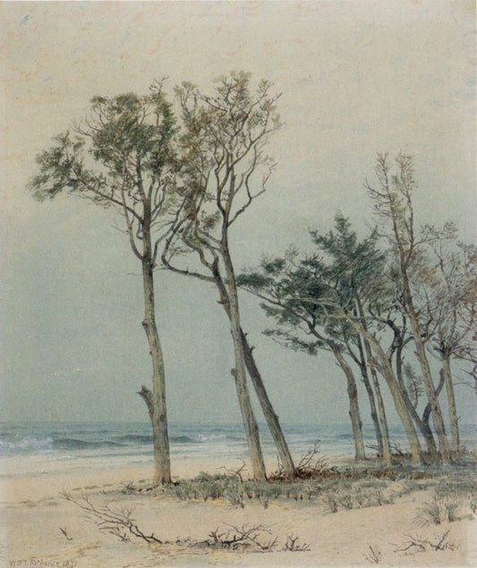 Des arbres sur le rivage de Jersey - William Trost Richards