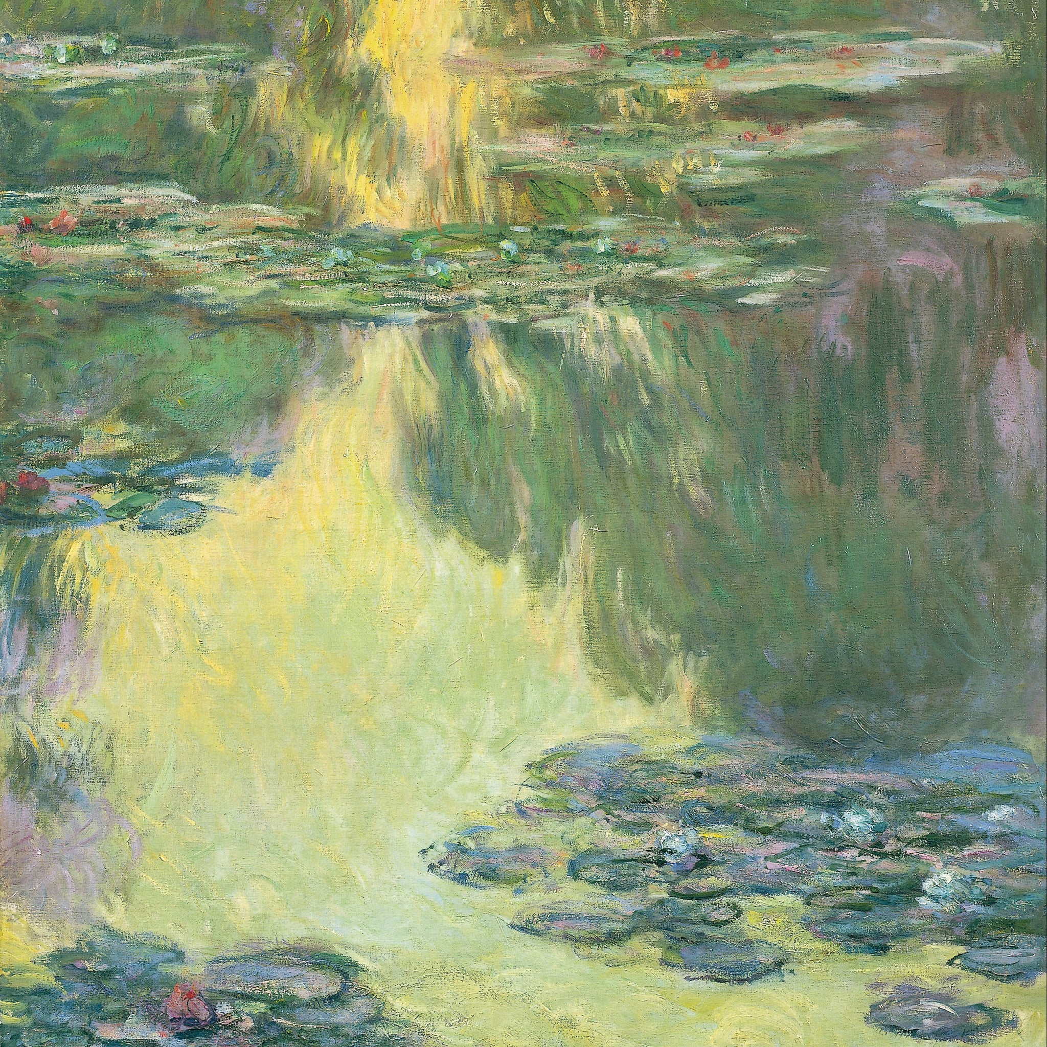 Nymphéas 1907 - Claude Monet