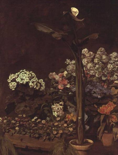 Arum et plantes de serre - Pierre-Auguste Renoir