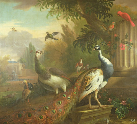 Paon et piaf avec un cardinal rouge dans un paysage classique - Tobias Stranover