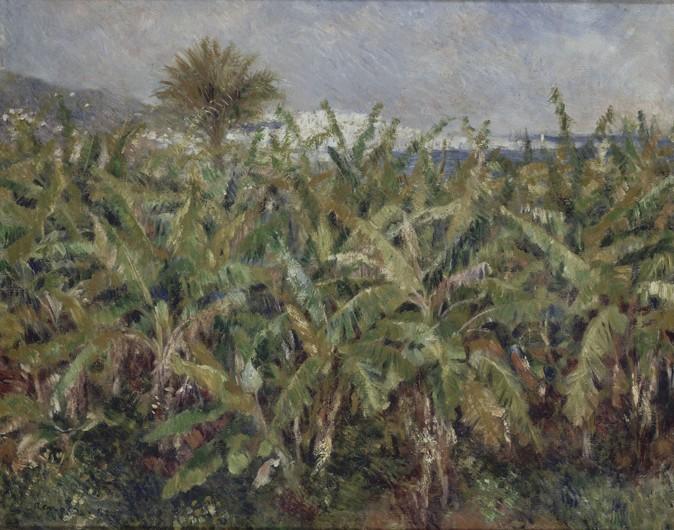 Champ de bananiers (Champ de bananiers) - Pierre-Auguste Renoir