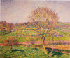 Gros noyer à Eragny - Camille Pissarro