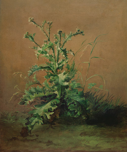 Le chardon - Edouard Manet