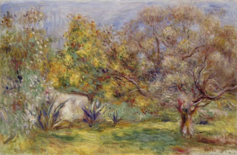 Jardin d'olive - Pierre-Auguste Renoir