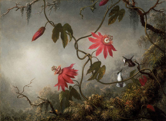 Les fleurs de la passion avec les colibris - Martin Johnson Heade