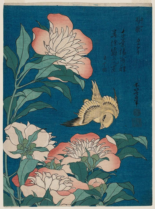 hokusai pivoines et canari (shakuyaku, kanaari), d'une série sans titre connue sous le nom de petites fleurs - Katsushika Hokusai