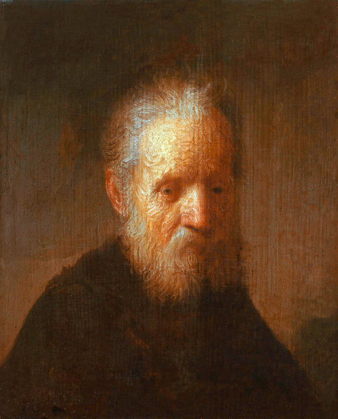 Vieil homme à la barbe - Rembrandt van Rijn