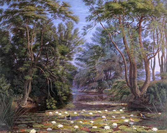 Nénuphars de la rivière Cherwell - William Turner