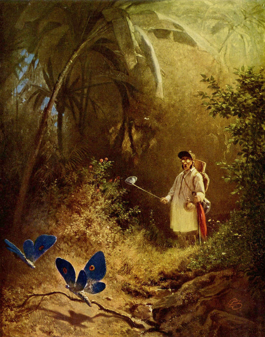 Le chasseur de papillons - Carl Spitzweg