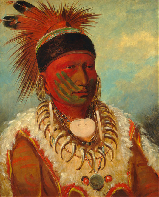 The White Cloud, Head Chief of the Iowa - George Catlin