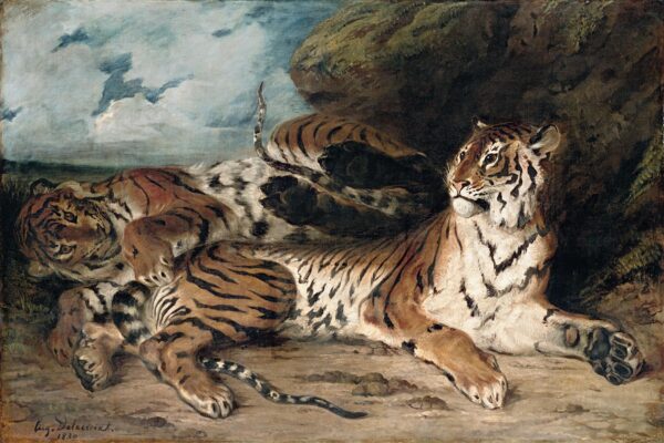 Young Tiger Playing with its Mother - Eugène Delacroix