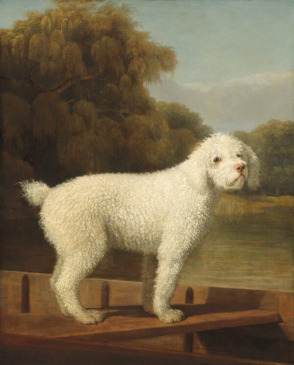 White Poodle in a Punt - George Stubbs