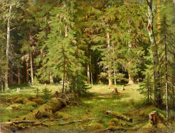 Anagoria of the Forest - Ivan Shishkin