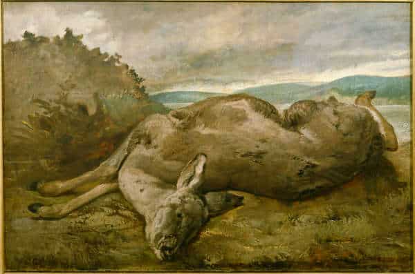 The Deer - Gustave Courbet