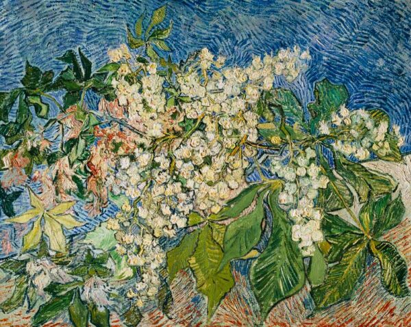 Chestnut Branches in Bloom - Van Gogh