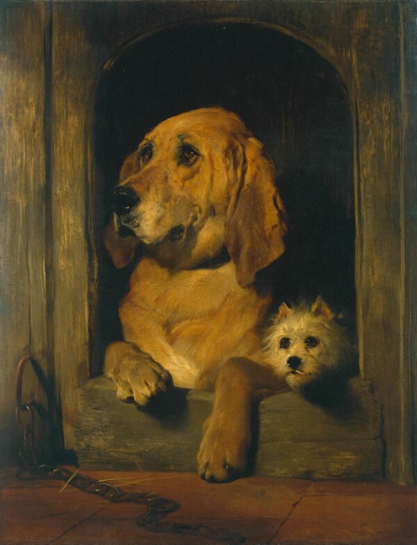 Dignity and Impudence - Edwin Landseer