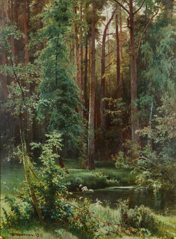 Wooded Area - Ivan Shishkin