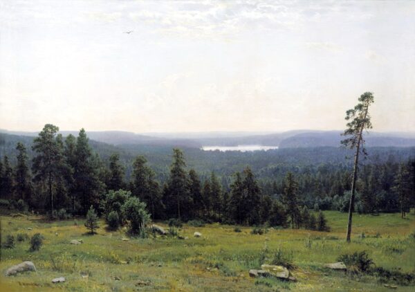 The Forest Seen from Afar - Ivan Shishkin