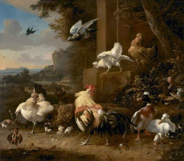 The poultry yard - Melchior d'Hondecoeter