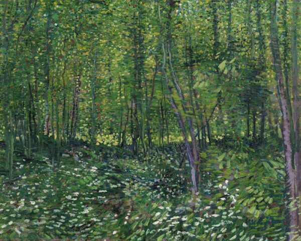 Trees and Undergrowth - Van Gogh