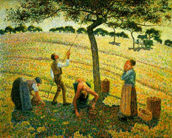 Apple picking at Eragny-sur-Epte - Camille Pissarro