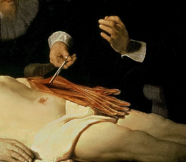 The Anatomy Lesson of Dr. Nicolaes Tulp, 1632 (detail of 7543) by Rembrandt van Rijn