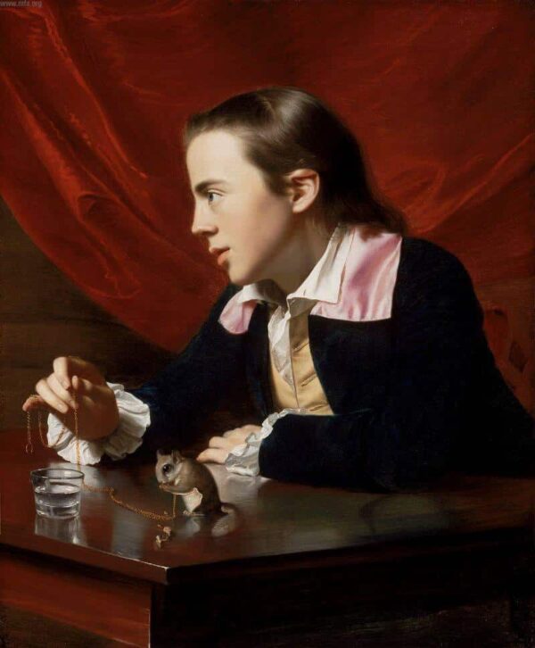 Boy with a Squirrel (Henry Pelham) - John Singleton Copley