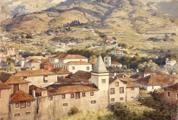 Funchal, Morning Sun - Edward Poynter