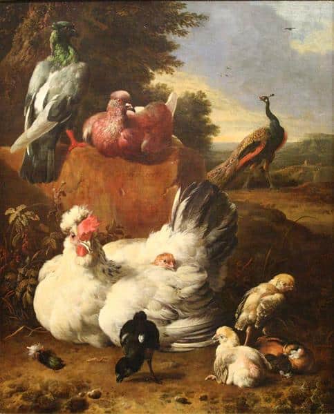 The White Hen - Melchior d'Hondecoeter