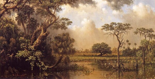 The Great Florida Marsh - Martin Johnson Heade