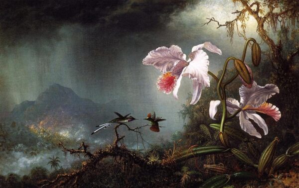 Two hummingbirds in combat with two orchids - Martin Johnson Heade