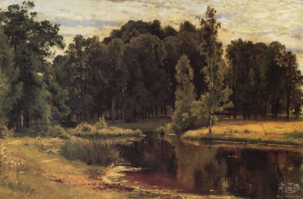 Pond in a Old Park - Ivan Shishkin