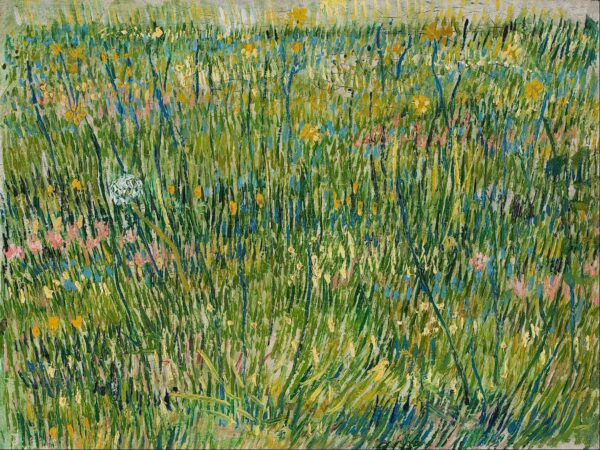 Grass Patch - Van Gogh