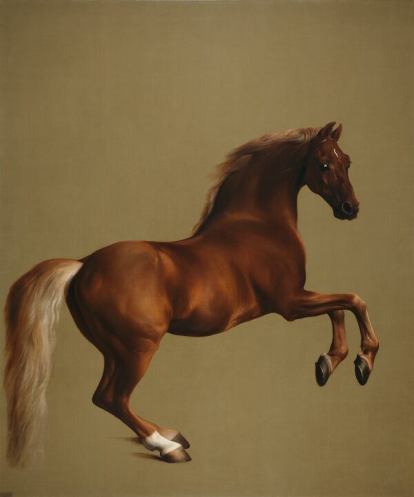 Whistlejacket - George Stubbs